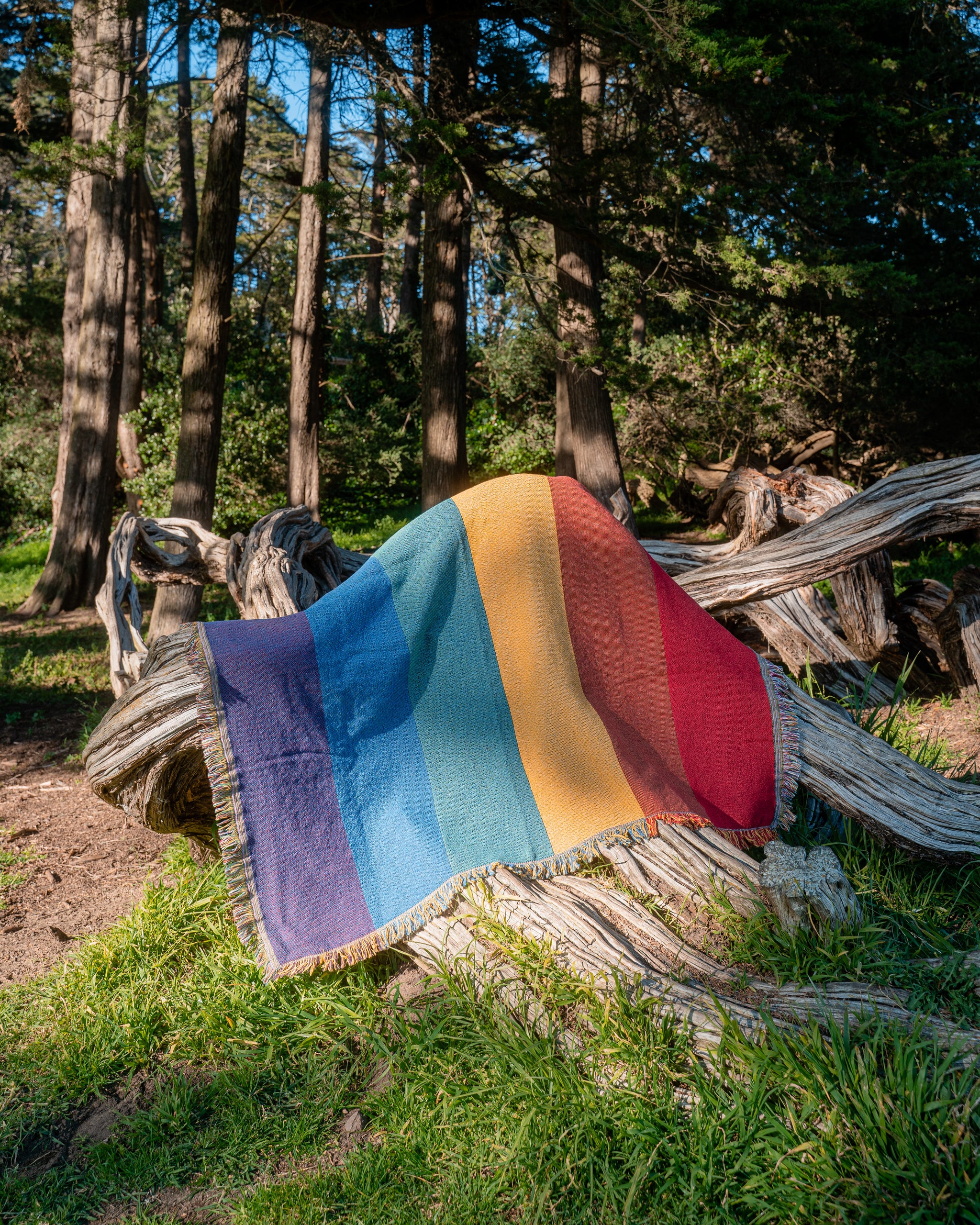 Rainbow Pride Woven Blanket 50